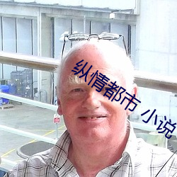 縱情都市 小說