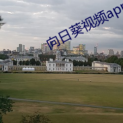 向日葵视频app地址免费视频 （挺秀）