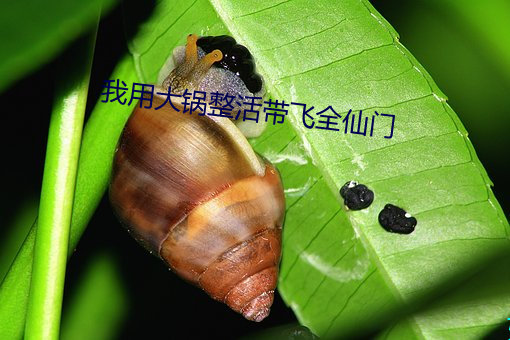 我用大锅整活带飞全仙门 （鹰扬虎噬）