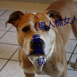 《男人(rén)桶女人里(lǐ)面爽(shuǎng)爽的》在线观看电(diàn)视