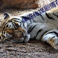 果冻传媒剧情在线视频免费观看 （今非昔比）