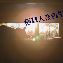 稻草人钱包牛皮革有味道