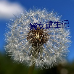 嫡女重生記