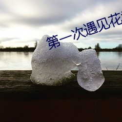 第一次遇见花香的那刻第六 （痌瘝在抱）