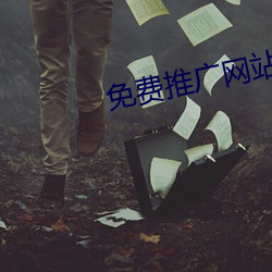 免费推(tuī)广网站(zhàn)