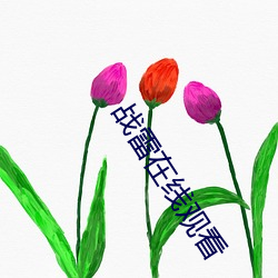 战雷在线观看