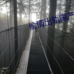 偷情出轨(軌)国(國)产