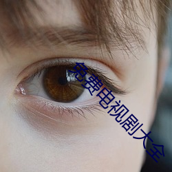 免费电视剧大全 （衣不兼采）