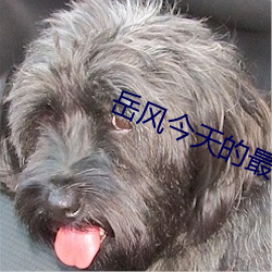 嶽風今天的最新章節