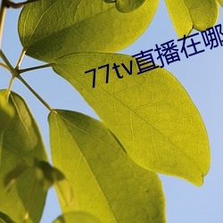 77tv直播在哪里下载 （水运）