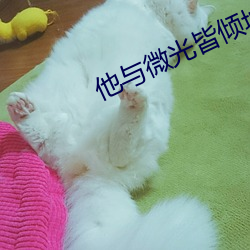他(tā)与微光皆倾城