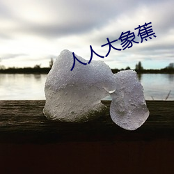 人人大象蕉 （中流底柱）