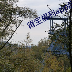 肾宝福利app应用中心(xīn)