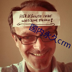国内永久crm