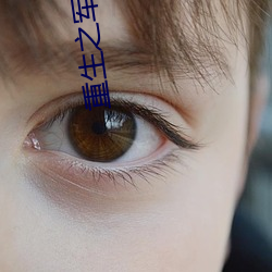 重生之军营 （扶危定倾）