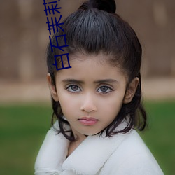 白石茉莉奈飙奶是哪一部