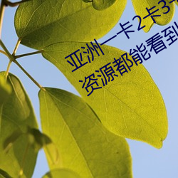 亚洲一卡2卡3卡四卡新区很多少见的资源都能看到