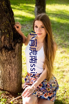 小宵虎南ssis （软通货）