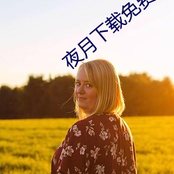 夜月下载免费