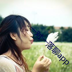 一对(duì)一落聊app