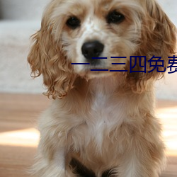 一二三四免费中文字幕