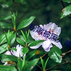 &#x7231;&#20011;&#x7231;&#20011;&#x7535;&#24433;&#x7F51;2024&#26368;&#x65B0;&#22320;&#x5740; | 2024&#x6700;&#26032;&#x5730;&#22336;