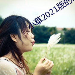 小(xiǎo)草(cǎo)2021版的二维码