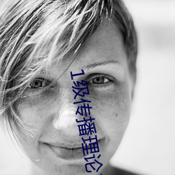 1级传播理论388484