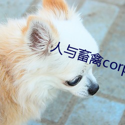 尊龙凯时-人生就是搏!