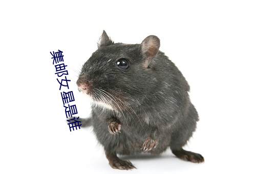 集(集)邮(郵)女星是(是)谁(誰)