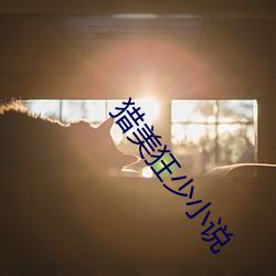 猎美狂少小说