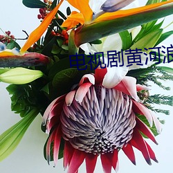 电(電)视(視)剧黄河(河)浪