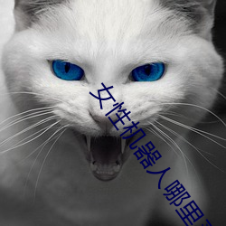 女性机器人(rén)哪里买
