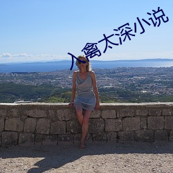 入(rù)禽(qín)太深小说