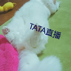 TATA直播