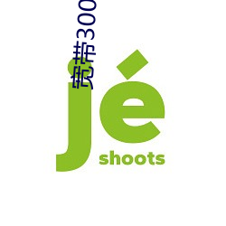 宽带300m什么意(意)思