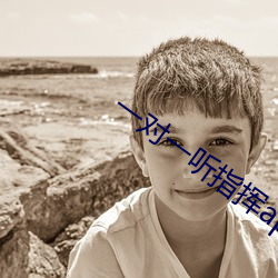 一對一聽指揮app軟件下載