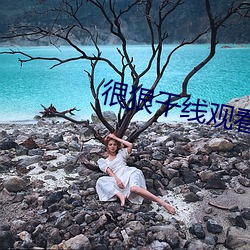 很狠干线观看2021 （富贵浮云）
