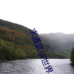 求(qiú)道武(wǔ)侠世界