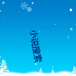 小说搜索 （旁门左道）