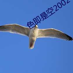 色即(jí)是空2002