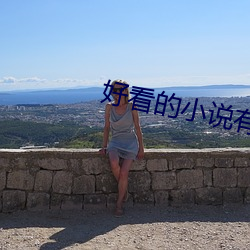 好看的小說有哪些