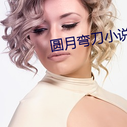 圓月彎刀小說