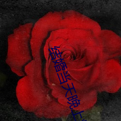 结(jié)婚(hūn)当天晚上(shàng)疼哭了