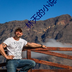 林天的小說叫什麽