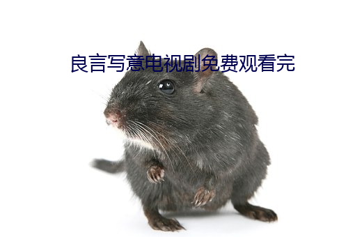 良言写意电视剧免费观看完