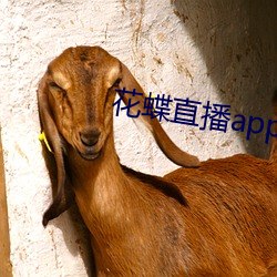 花蝶直(zhí)播app2021