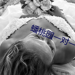 蟠桃园一对一视频聊天 （绝响）