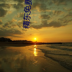 精东免费(fèi)下载