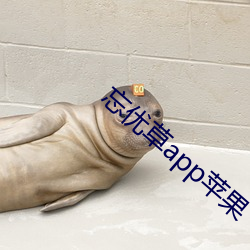 忘优草app苹果 （叩源推委）